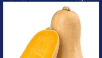 Gorafi Magazine : Dossier – 100 raisons de parler des courges butternut plutôt que de l’actu