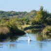 « Il va falloir se retrousser les manches » : en Charente-Maritime, le Parc naturel régional se concrétise doucement