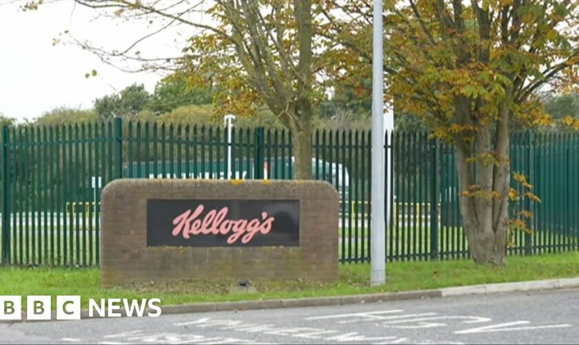 Kellogg's cereal factory set to create 130 jobs