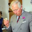 King Charles has a secret avocado passion - Royal Family favourite foods revealed