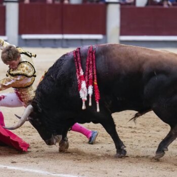 La apabullante superioridad de los toros de Victoriano del Río se lleva el mano a mano de Fernando Adrián y Borja Jiménez en Las Ventas