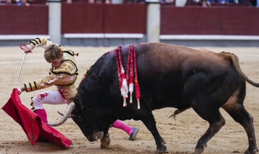 La apabullante superioridad de los toros de Victoriano del Río se lleva el mano a mano de Fernando Adrián y Borja Jiménez en Las Ventas