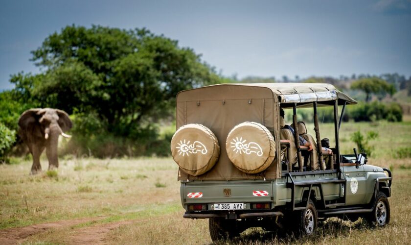 « Ni bruit, ni odeur, on observe les bêtes sauvages de près… sans polluer » : en Tanzanie, un safari 100 % électrique