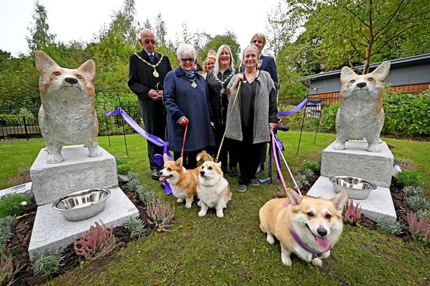 Outrage in Walsall as council spend £35,000 on corgi statues for Queen tribute