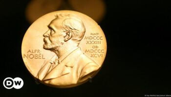 Physik-Nobelpreis geht an KI-Grundlagenforscher