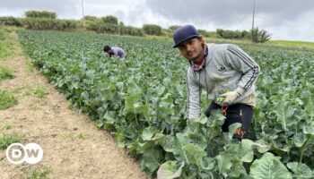 Portugal: Schärfere Regeln für Migranten