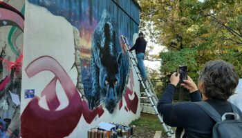 Saint-Maur : l’ancienne usine de l’eau aux mains des street-artistes avant d’ouvrir une nouvelle page