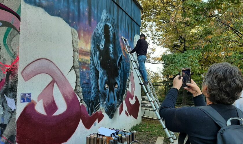 Saint-Maur : l’ancienne usine de l’eau aux mains des street-artistes avant d’ouvrir une nouvelle page