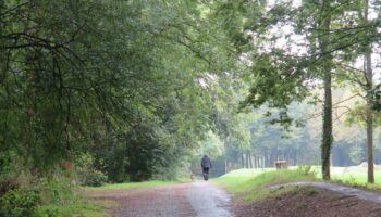 « Si nous voulons garder nos bois, il faut agir » : Cergy-Pontoise aux petits soins avec ses arbres