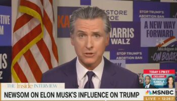 Trump and Musk’s sudden bond suggests ‘other things going on behind scenes,’ warns Newsom