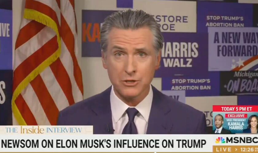 Trump and Musk’s sudden bond suggests ‘other things going on behind scenes,’ warns Newsom