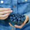 Two minute hack will stop blueberries from going soft and turning to mush