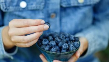 Two minute hack will stop blueberries from going soft and turning to mush