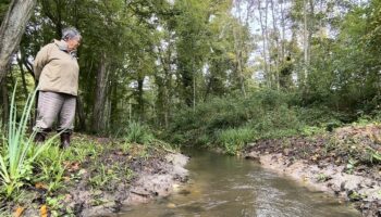 « Une piste sérieuse pour soigner la forêt » : l’eau coule à nouveau dans l’un des plus grands massifs de France