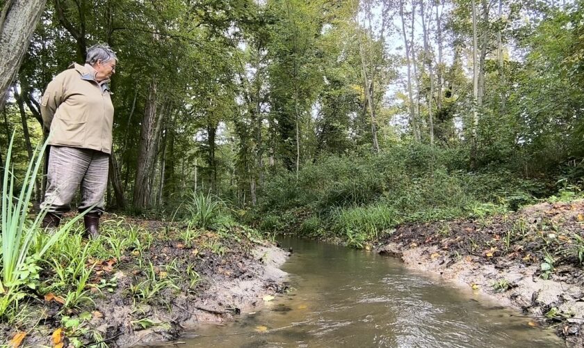 « Une piste sérieuse pour soigner la forêt » : l’eau coule à nouveau dans l’un des plus grands massifs de France