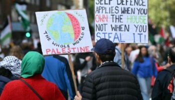 Pro-palästinensische Demonstration in London