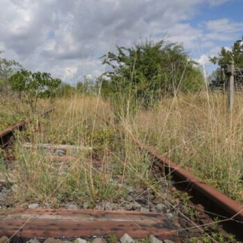 Die Union will die Nutzung von brachliegendem Bahngelände erleichtern. (Archivbild) Foto: Karl-Josef Hildenbrand/dpa