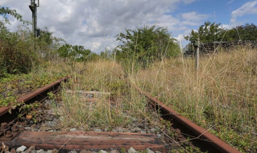 Die Union will die Nutzung von brachliegendem Bahngelände erleichtern. (Archivbild) Foto: Karl-Josef Hildenbrand/dpa