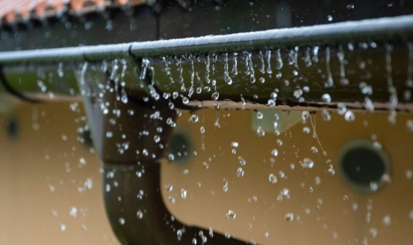 Auf Mittelmeerluft folgt Regen und Wind: Der Deutsche Wetterdienst erwartet einen Wetterumschwung in Bayern. (Symbolbild) Foto: