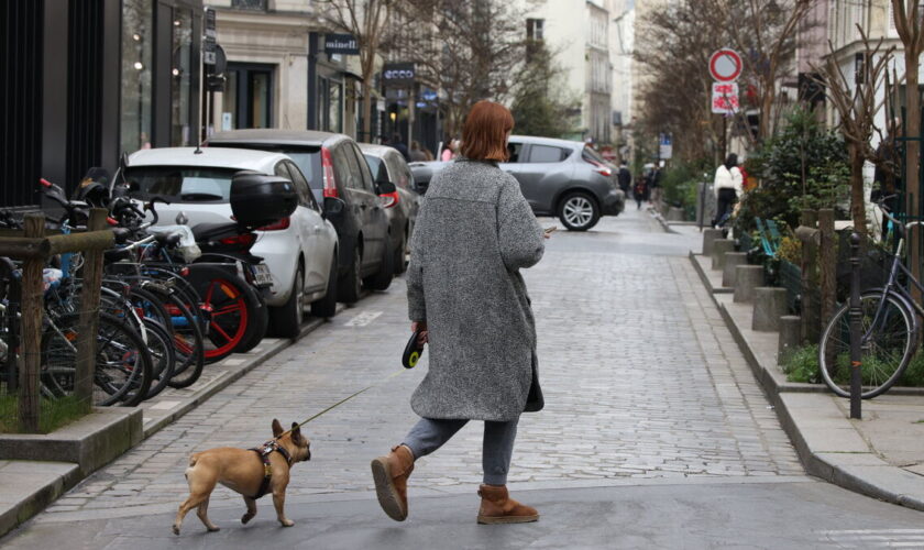 Yvelines : la retraitée, qui aimait les chiens, dépouille ses copines de 100 000 euros