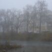 Wetter: Weiter Nebel und Glätte in Rheinland-Pfalz und im Saarland