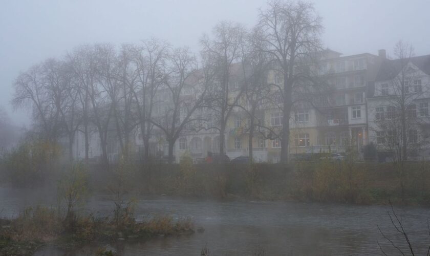 Wetter: Weiter Nebel und Glätte in Rheinland-Pfalz und im Saarland