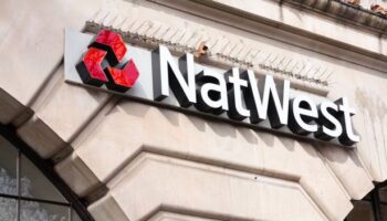 NatWest boss says bank on ‘very fast trajectory’ towards private ownership