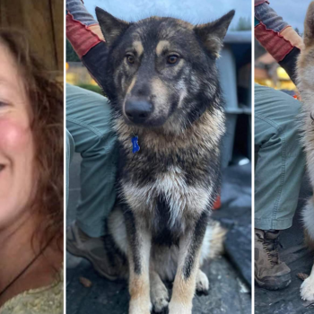 Estranged husband arrested for homicide after lacking hiker discovered useless together with canine: ‘Afraid for her life’