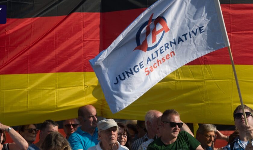 AfD will offenbar Jugendorganisation Junge Alternative auflösen