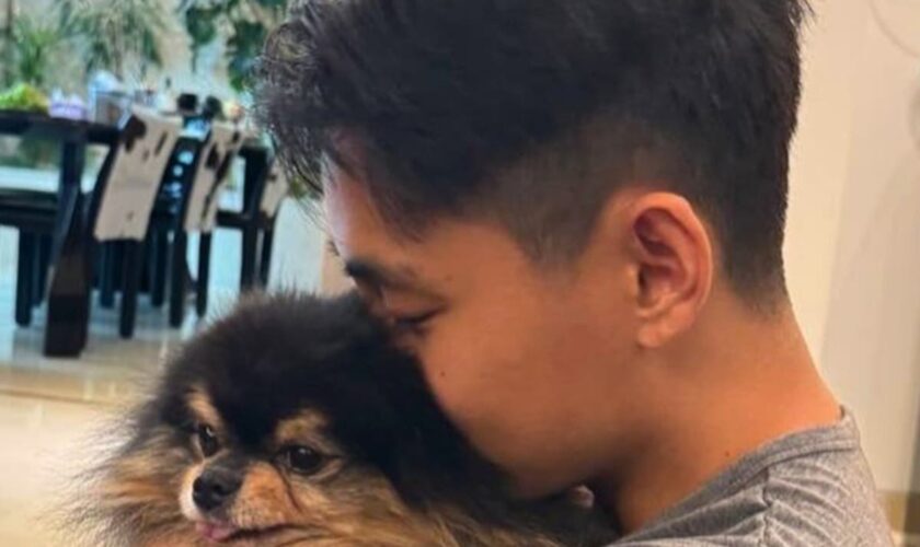 BTS member V reveals his beloved dog Yeontan has died