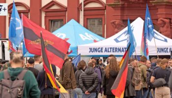 Parteijugend der AfD: Ein Schutzschirm für die Radikalsten