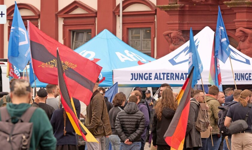 Parteijugend der AfD: Ein Schutzschirm für die Radikalsten