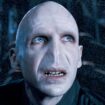 Ralph Fiennes approves of ‘wonderful’ choice to play Voldemort in Harry Potter show