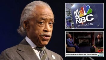 Al Sharpton’s interview scandal becomes latest in decades-long history of controversies haunting MSNBC host