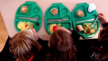 ‘Fussy eating’ disorder linked to differences in brain structure, study shows