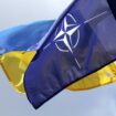 Ukraine in die NATO – sofort! Geht das?