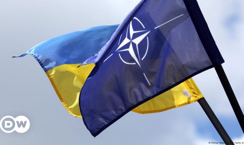 Ukraine in die NATO – sofort! Geht das?