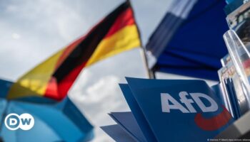 Wie gefährlich ist die AfD für die Demokratie?