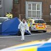 Schoolgirl, eight, ‘stabbed to death as she tried to protect her mother during late-night attack’ at home in Ireland