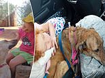 I moved my family back to Edinburgh after dog catchers killed my six year-old’s pet in Morocco as country slaughters street animals ahead of hosting 2030 World Cup