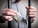 Revealed… the criminals trying to get INTO jail! Gang members attempt to secure prison jobs so they can smuggle in drugs, experts warn