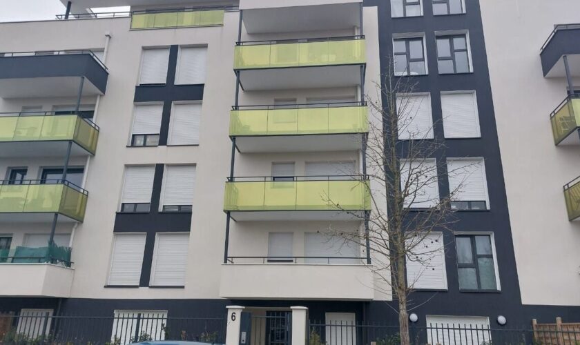 « C’était une femme très gentille » : à Aulnay, le choc des voisins de Tenin, tuée par son compagnon devant son fils