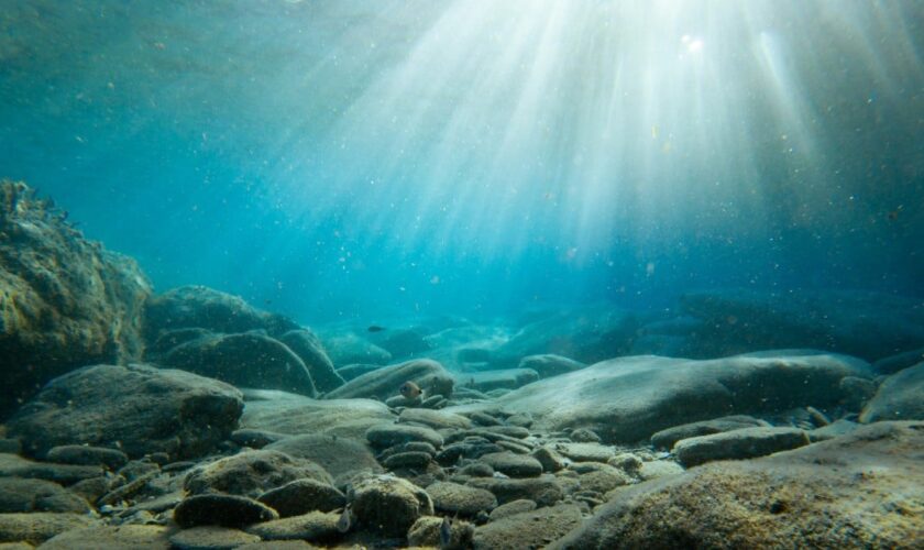 Une terre de l'âge de pierre engloutie sous la mer du Nord révèle les secrets d'une civilisation disparue