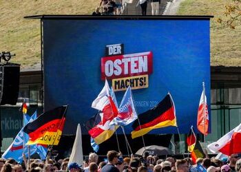 AfD: Die Bundesregierung sollte ein AfD-Verbot beantragen – Kommentar