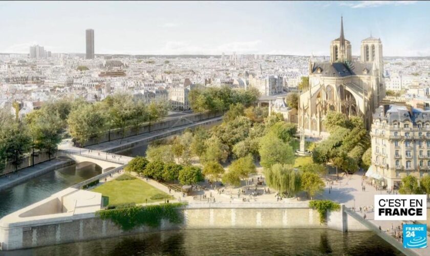 Notre-Dame : pilier d’un quartier de Paris en pleine mutation