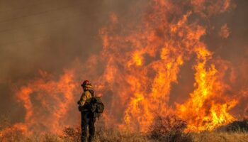 LA wildfires: New theory suggests New Year’s Eve revellers to blame for apocalyptic blaze