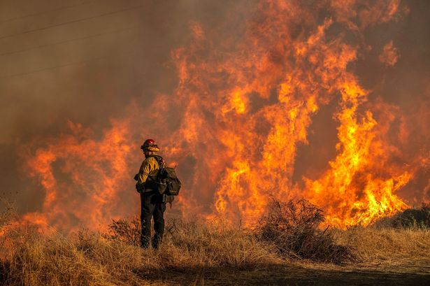 LA wildfires: New theory suggests New Year’s Eve revellers to blame for apocalyptic blaze