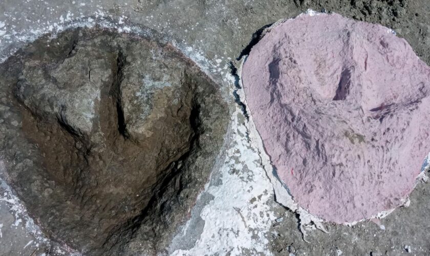 Hundreds of dinosaur footprints discovered in Oxfordshire