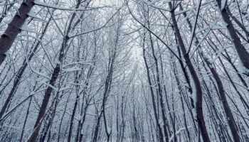 La neige arrive dans ces départements loin de la montagne, deux scénarios possibles