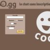 Coco : Isaac Steidl, le fondateur du site d’annonces cité notamment au procès des viols de Mazan en garde à vue